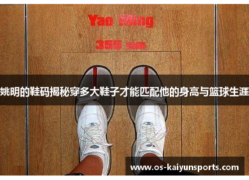姚明的鞋码揭秘穿多大鞋子才能匹配他的身高与篮球生涯