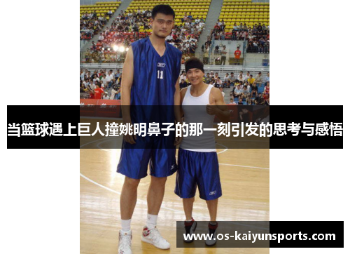 当篮球遇上巨人撞姚明鼻子的那一刻引发的思考与感悟