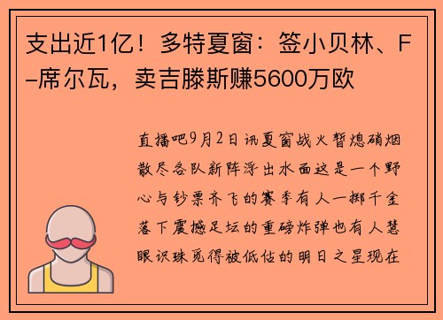 支出近1亿!多特夏窗:签小贝林、F-席尔瓦,卖吉滕斯赚5600万欧