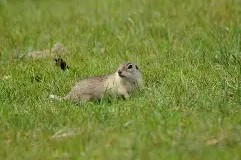 开云体育sports-勇士队员自投罗网，团队困扰频现，面临崩溃危机()