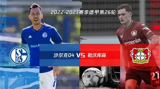 开云体育在线-沙尔克迎来重要胜利，稳定在积分榜前列()  第2张