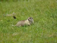 开云体育sports-勇士队员自投罗网,团队困扰频现,面临崩溃危机() 第1张 开云体育sports-勇士队员自投罗网,团队困扰频现,面临崩溃危机() 第1张