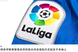 开云中国-赫塔菲新援表现出色，成为球队中坚力量()  第2张