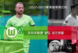 开云体育下载-沃尔夫斯堡豪取胜利，领先对手积分()  第2张