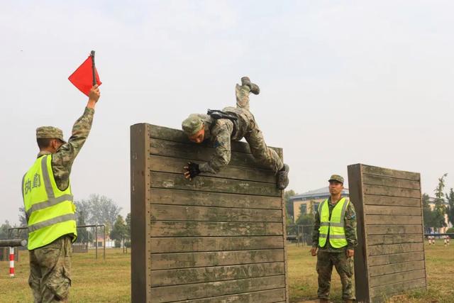 开云官方在线-球员在比赛中展现出了顽强的战斗精神()  第2张