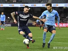 开云体育登录-墨尔本胜利奋力争取胜利，扳回颓势保住小组出线机会()  第2张