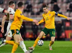 开云sports-比利时队在欧预赛中冲刺领先，胜出在望()  第2张